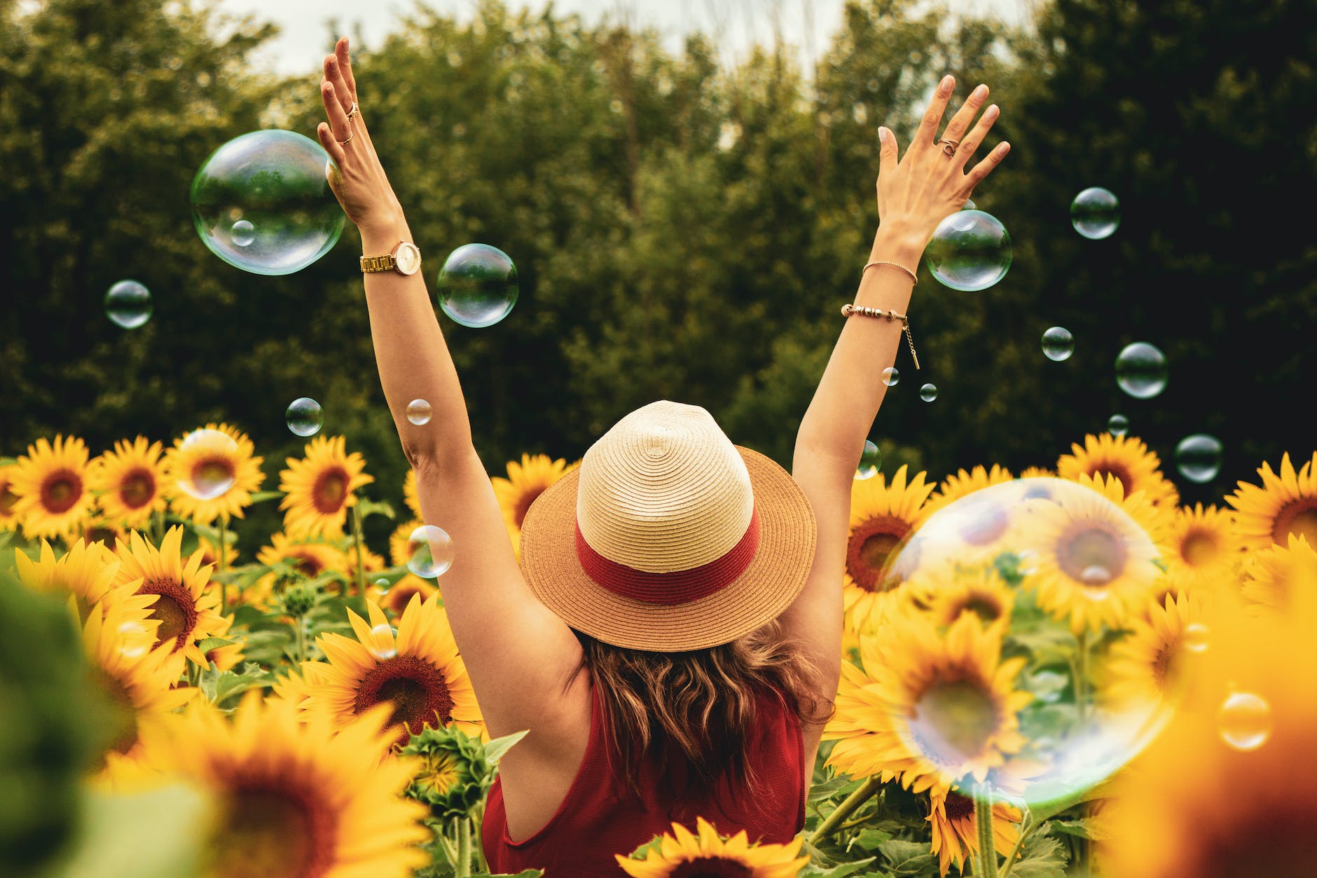 A woman has her back towards the camera. She is in a sunflower plantation. We can see she is wearing a hat, her hair is brown and long. She is wearing a red blouse. Her arms are up.